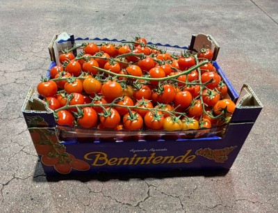 Foto Pomodoro Ciliegino Origine Italia Marchio Benintende  1