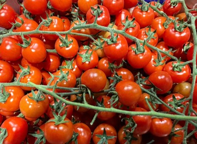 Foto Pomodoro Ciliegino Origine Italia Marchio Benintende  2