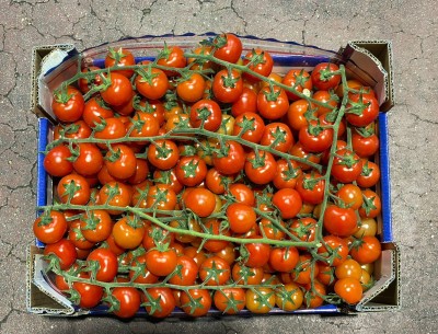 Foto Pomodoro Ciliegino Origine Italia Marchio Benintende  3