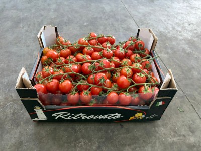 Foto Pomodoro Ciliegino Origine Italia Marchio Ritrovato 1