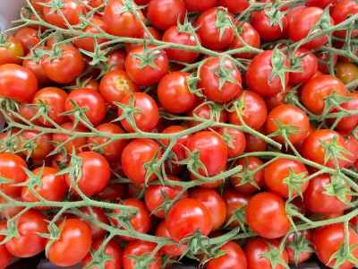 Foto Pomodoro Ciliegino Origine Italia Marchio Ritrovato 2