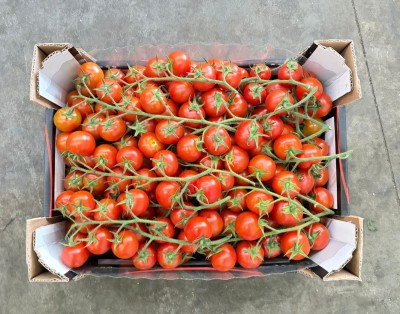 Foto Pomodoro Ciliegino Origine Italia Marchio Ritrovato 3