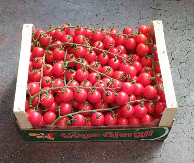 Foto Pomodoro Ciliegino Origine Italia Marchio Goga Gjergji 1