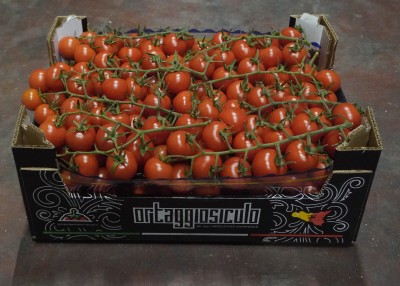 Foto Pomodoro Ciliegino Origine Italia Marchio Ortaggio Siculo 1