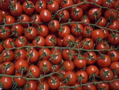 Foto Pomodoro Ciliegino Origine Italia Marchio Ortaggio Siculo 2