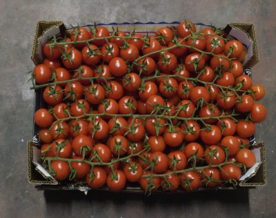 Foto Pomodoro Ciliegino Origine Italia Marchio Ortaggio Siculo 3