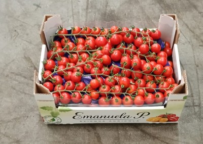 Foto Pomodoro Ciliegino Origine Italia Marchio Emanuela 1