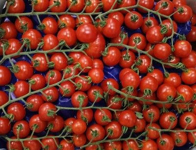 Foto Pomodoro Ciliegino Origine Italia Marchio Emanuela 2