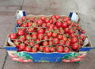 Foto Pomodoro  Ciliegino origine Italia Marchio Prodotti Di Sicilia 1