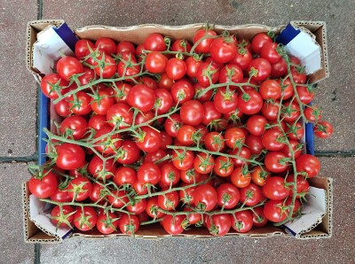Foto Pomodoro  Ciliegino origine Italia Marchio Prodotti Di Sicilia 3