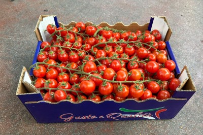 Foto Pomodoro Ciliegino Origine Italia Marchio Gusto e Qualità 1