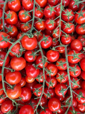 Foto Pomodoro Ciliegino Origine Italia Marchio Gusto e Qualità 2