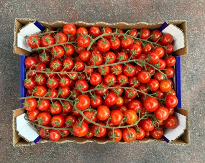 Foto Pomodoro Ciliegino Origine Italia Marchio Gusto e Qualità 3