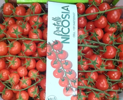 Foto Pomodoro Ciliegino Origine Italia Marchio Eden 2