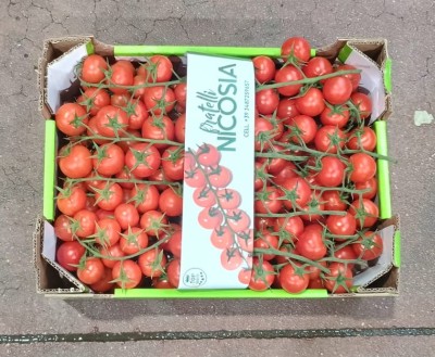 Foto Pomodoro Ciliegino Origine Italia Marchio Eden 3