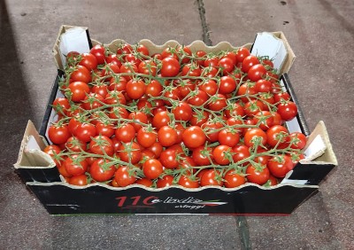 Foto Pomodoro Ciliegino Origine Italia Marchio 110 e Lode 1