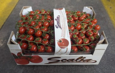 Foto Pomodoro Ciliegino Origine Italia Marchio Scalia 1