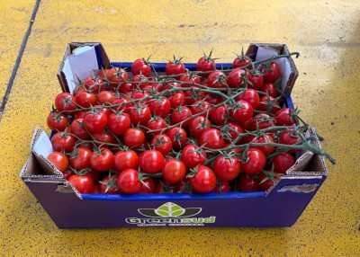 Foto Pomodoro Ciliegino Origine Italia Marchhio Greensud 1