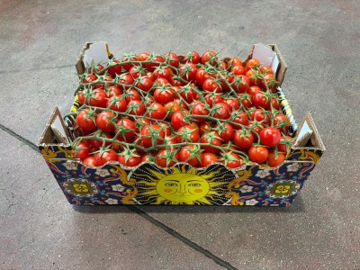Foto Pomodoro Ciliegino Origine Italia Marchio Sole 1
