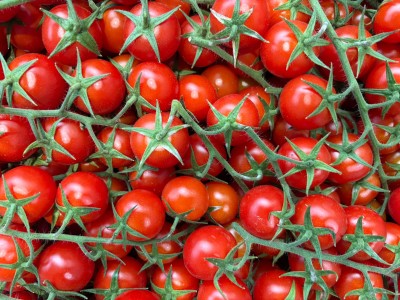 Foto Pomodoro Ciliegino Origine Italia Marchio Sole 2