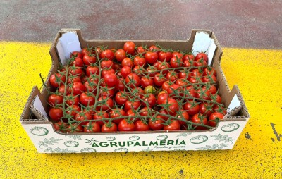 Foto Pomodoro Ciliegino Origine Spagna Marchio Agrupalmeria 1