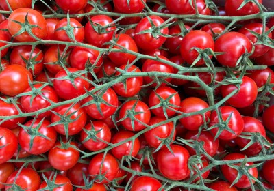 Foto Pomodoro Ciliegino Origine Spagna Marchio Agrupalmeria 2