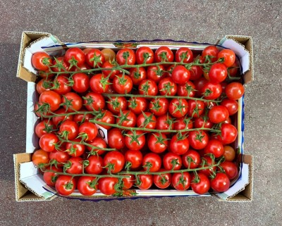 Foto Pomodoro Ciliegino Origine Italia Marchio Arrabito 3