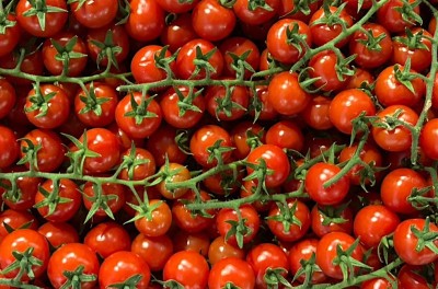 Foto Pomodoro Ciliegino Origine Italia Marchio Vittoria Verde 2