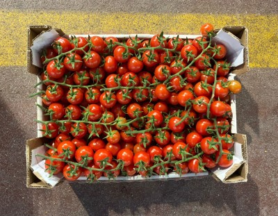 Foto Pomodoro Ciliegino Origine Italia Marchio Vittoria Verde 3