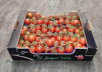 Foto Pomodoro Ciliegino Origine Italia Marchio Sempre Verde 1