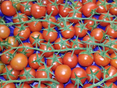 Foto Pomodoro Ciliegino Origine Italia Marchio Sempre Verde 2
