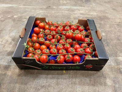 Foto Pomodoro Ciliegino Origine Italia Marchio Sempre Verde 1