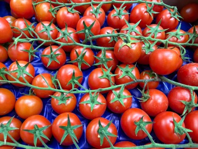 Foto Pomodoro Ciliegino Origine Italia Marchio Sempre Verde 2