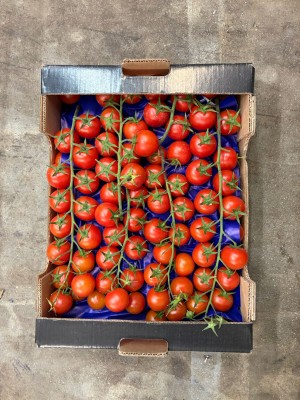 Foto Pomodoro Ciliegino Origine Italia Marchio Sempre Verde 3