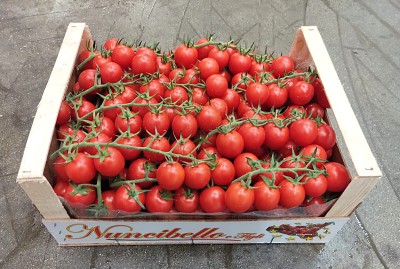 Foto Pomodoro Ciliegino Origine Italia Marchio Nuncibello 1