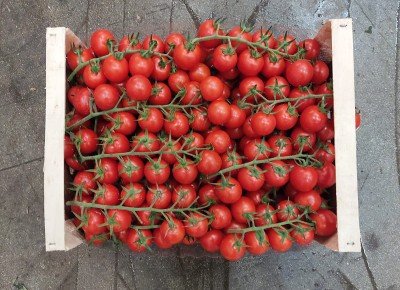 Foto Pomodoro Ciliegino Origine Italia Marchio Nuncibello 3