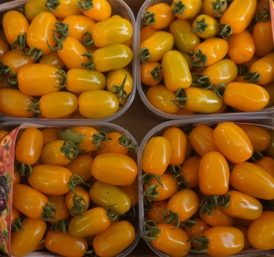 Foto Pomodoro Datterino Giallo Origine Italia Marchio Sicilia Bedda  2