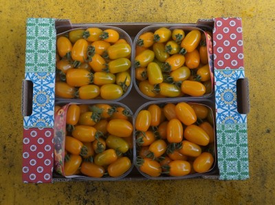 Foto Pomodoro Datterino Giallo Origine Italia Marchio Sicilia Bedda  3