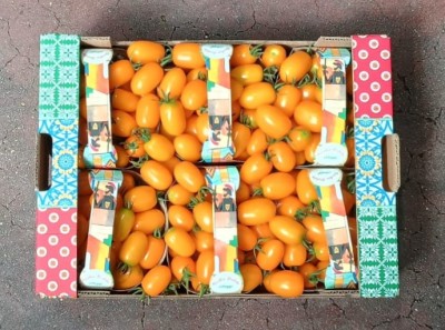 Foto Pomodoro Datterino Giallo Origine Italia Marchio Sicilia Bedda  3