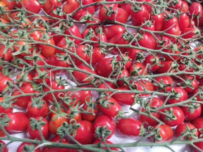 Foto Pomodoro Datterino Origine Italia Marchio Arciboldo  2