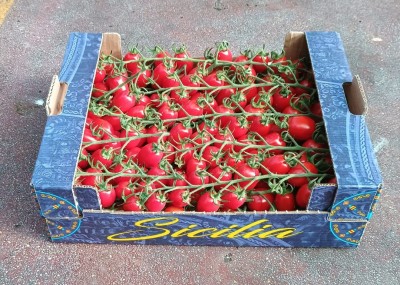 Foto Pomodoro Datterino Origine Italia  Marchio Sicilia  1