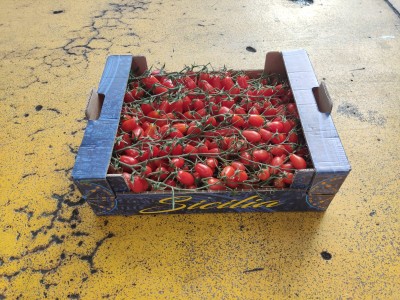 Foto Pomodoro Datterino Rosso Origine Italia Marchio Sicilia 1