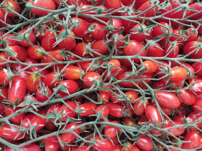 Foto Pomodoro Datterino Rosso Origine Italia Marchio Sicilia 2