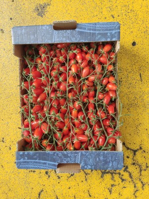 Foto Pomodoro Datterino Rosso Origine Italia Marchio Sicilia 3