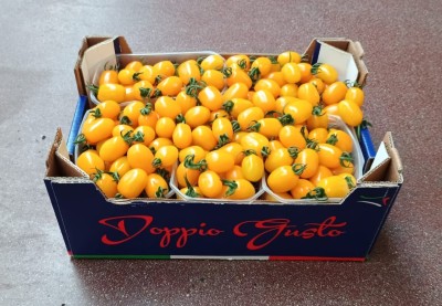 Foto Pomodoro Datterino Giallo Origine Italia Marchio DoppioGusto 1