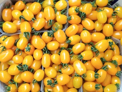 Foto Pomodoro Datterino Giallo Origine Italia Marchio DoppioGusto 2