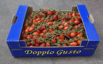 Foto Pomodoro Datterino Origine Italia Marchio Doppio Gusto 1