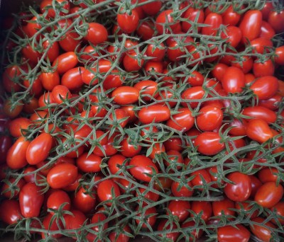 Foto Pomodoro Datterino Origine Italia Marchio Doppio Gusto 2