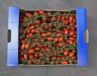 Foto Pomodoro Datterino Origine Italia Marchio Doppio Gusto 3
