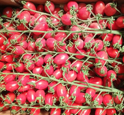 Foto Pomodoro Datterino Rosso Origine Italia Marchio Doppio Gusto  2